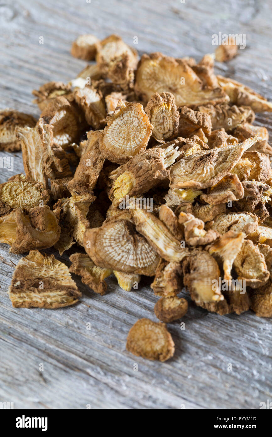 Bouncingbet, Bouncing-bet, Soapwort (Saponaria officinalis), dried roots , Germany Stock Photo