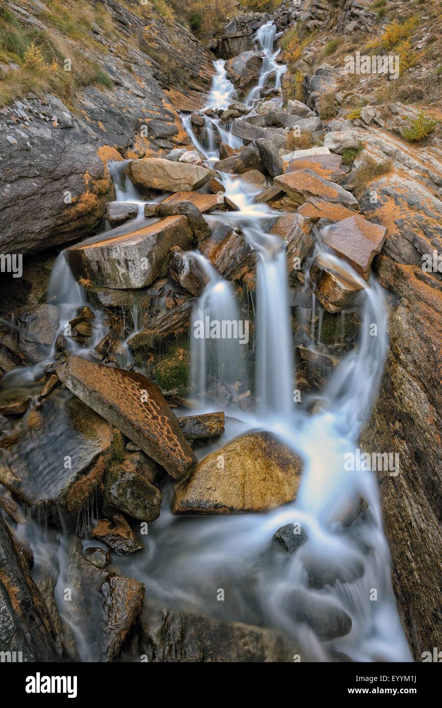 mountain creek with rocks coverd with larch needles, Italy, Gran Paradiso National Park Stock Photo