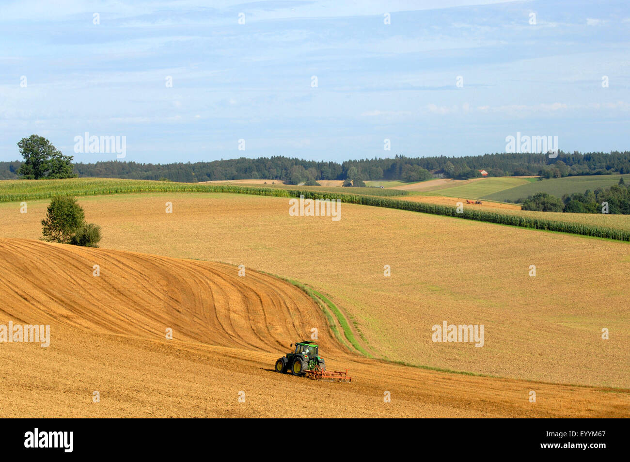 tractor with grubber on hilly fieldlandscape in autumn, Germany, Bavaria Stock Photo