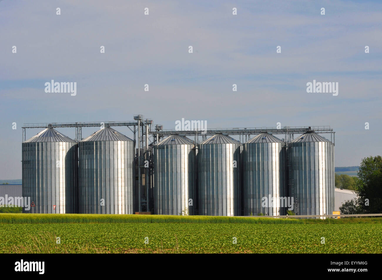 grain silos in morning light, Germany, Bavaria, Swabia, Rain am Lech Stock Photo