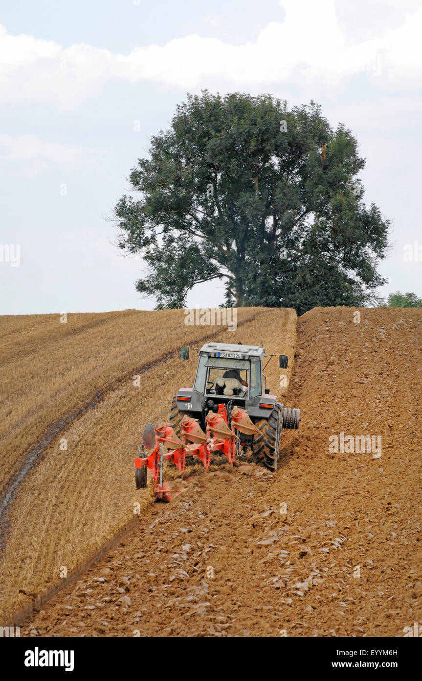 tractor with 4-share half-turn plough ploughing a stubble field after manure spreading, Germany, Bavaria Stock Photo