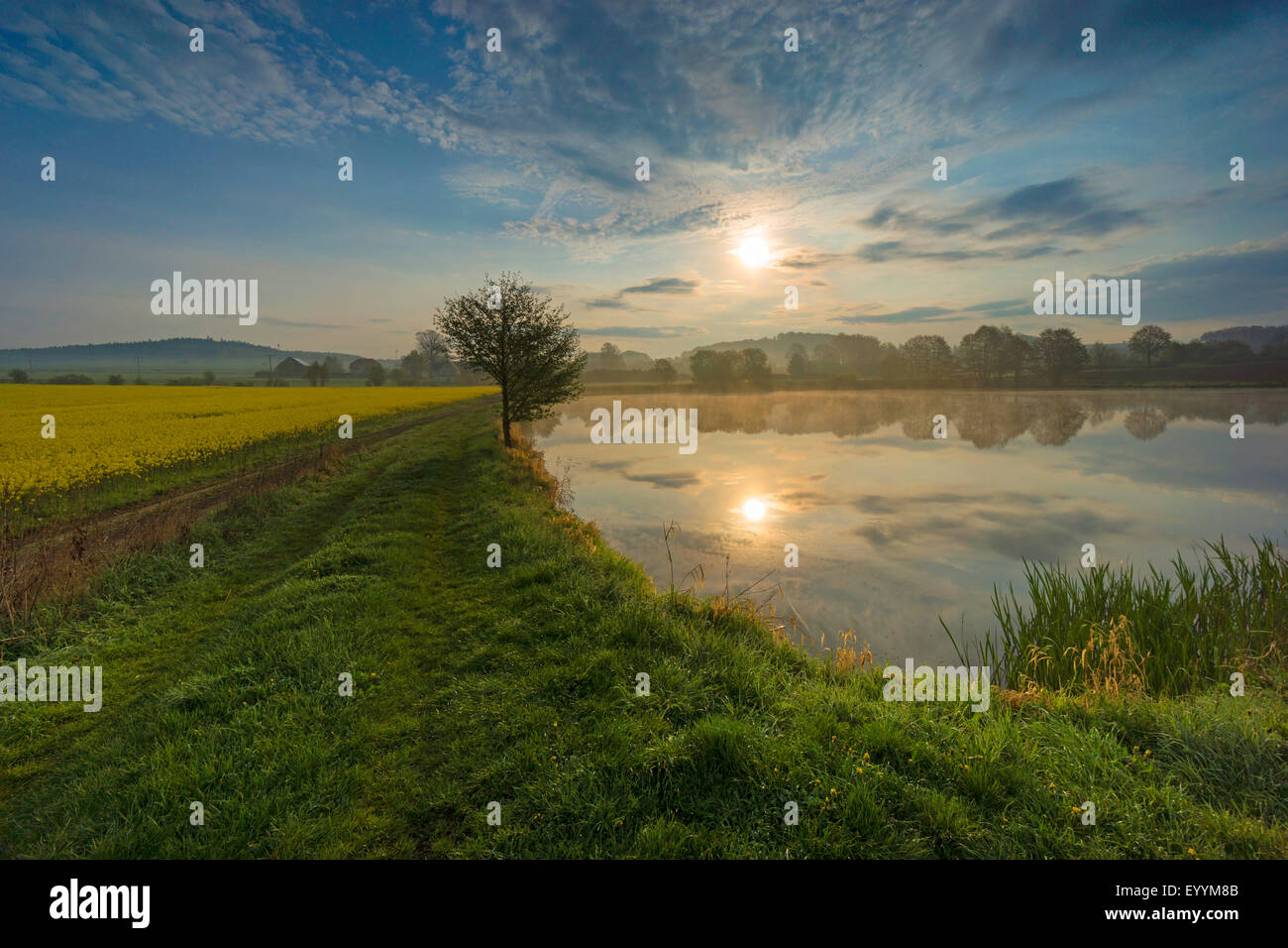 lake at sunrise, Germany, Saxony, Vogtland, Jocketa Stock Photo