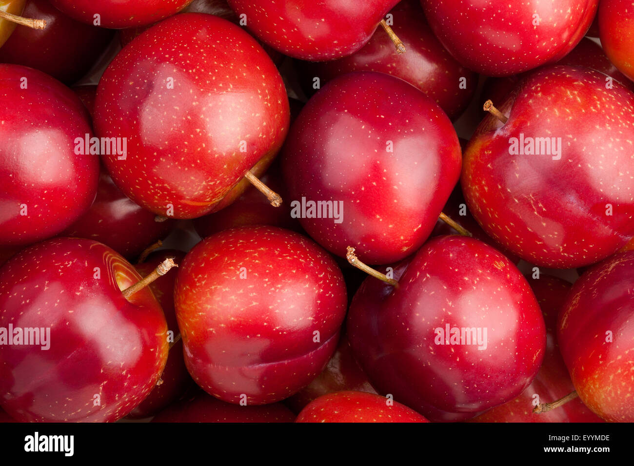red plum closeup texture Stock Photo