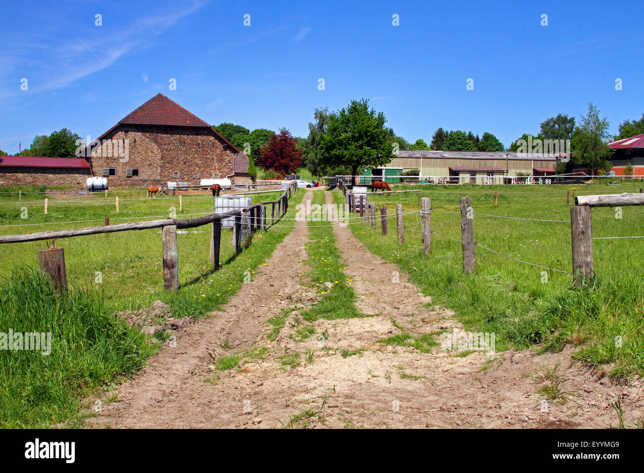 field path to an old farm, Germany, North Rhine-Westphalia Stock Photo