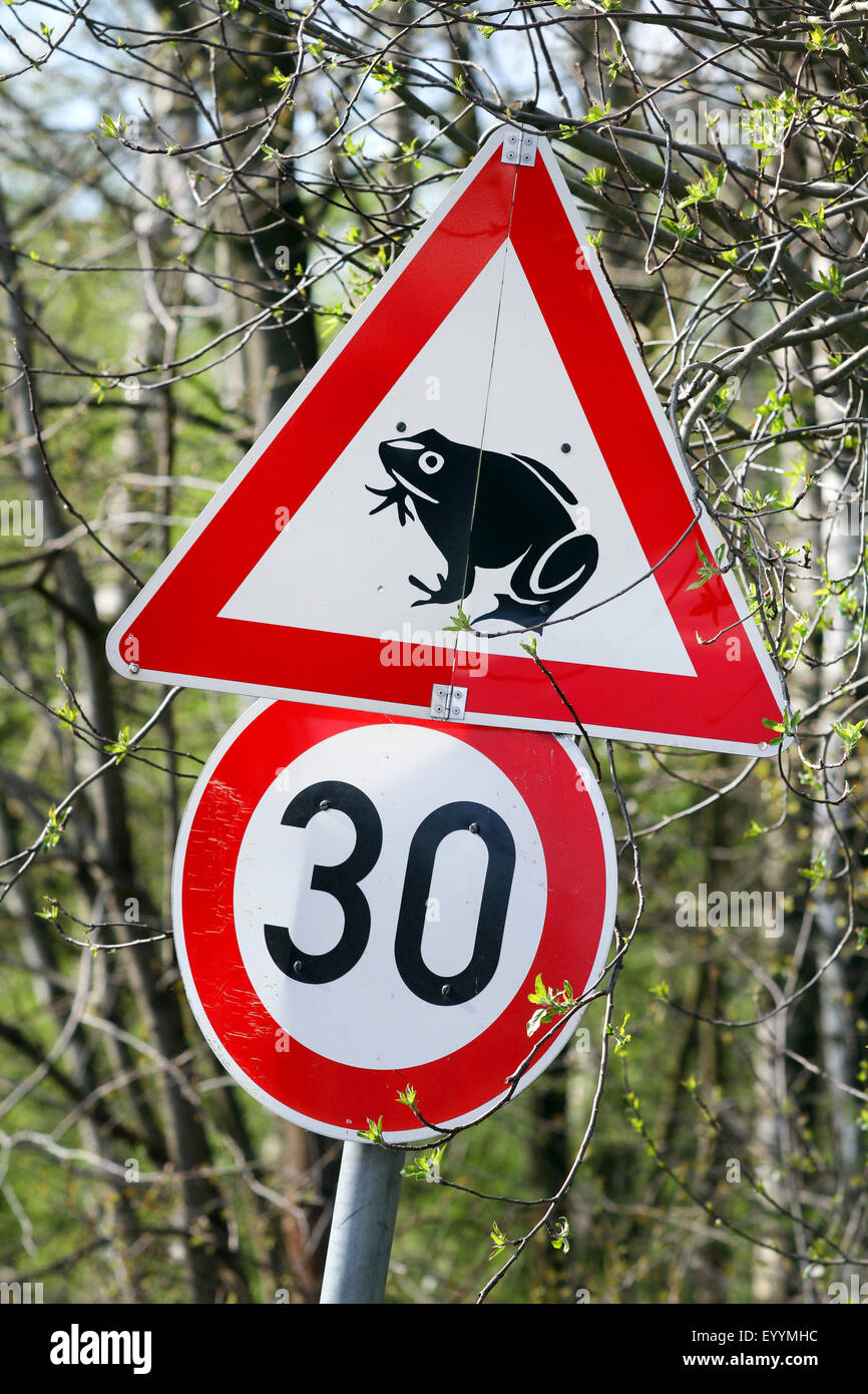 traffic sign pointing out toad migration Stock Photo