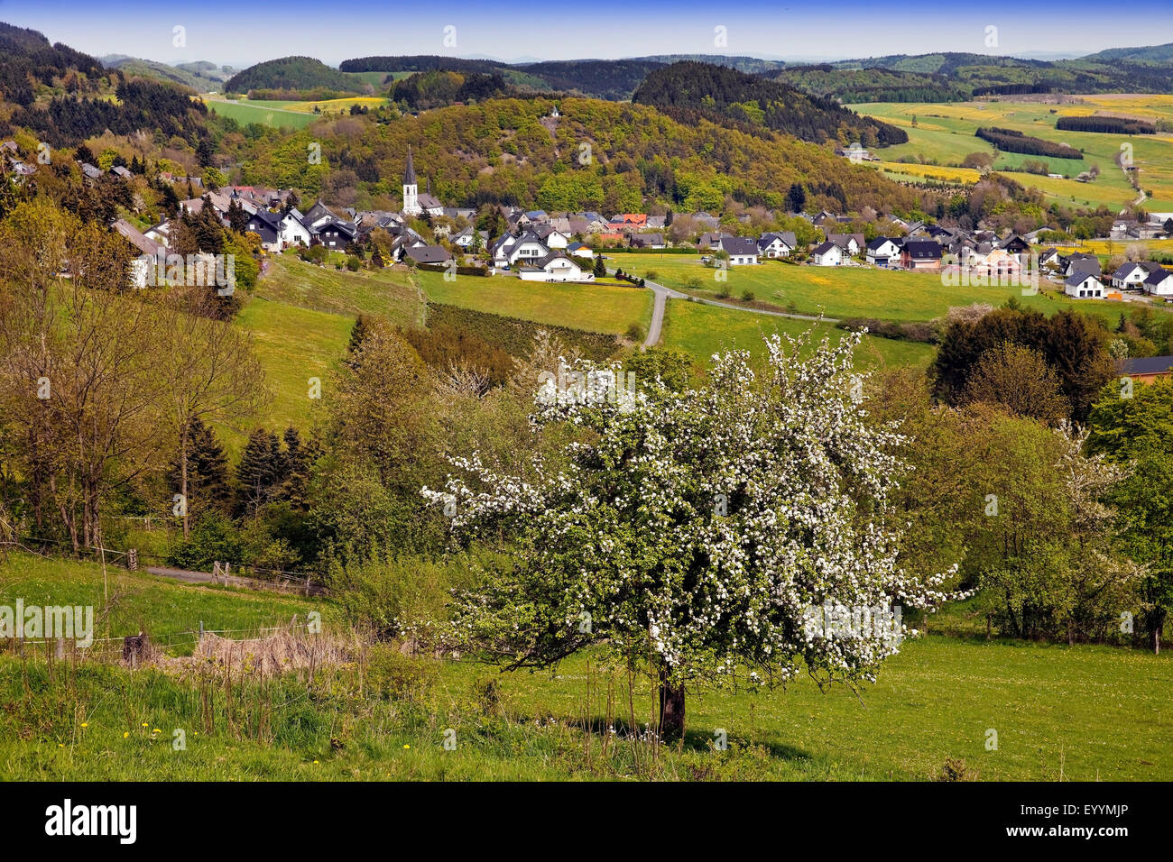 low mountain range and village Duedinghausen in spring, Germany, North Rhine-Westphalia, Medebach Stock Photo