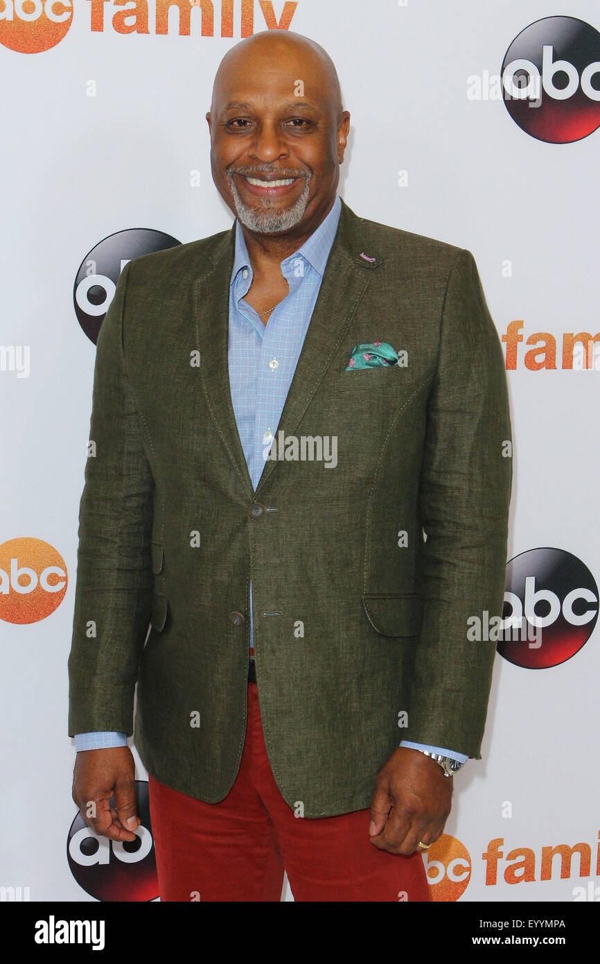 Los Angeles, California, USA. 4th Aug, 2015. James Pickens Jr. attends
