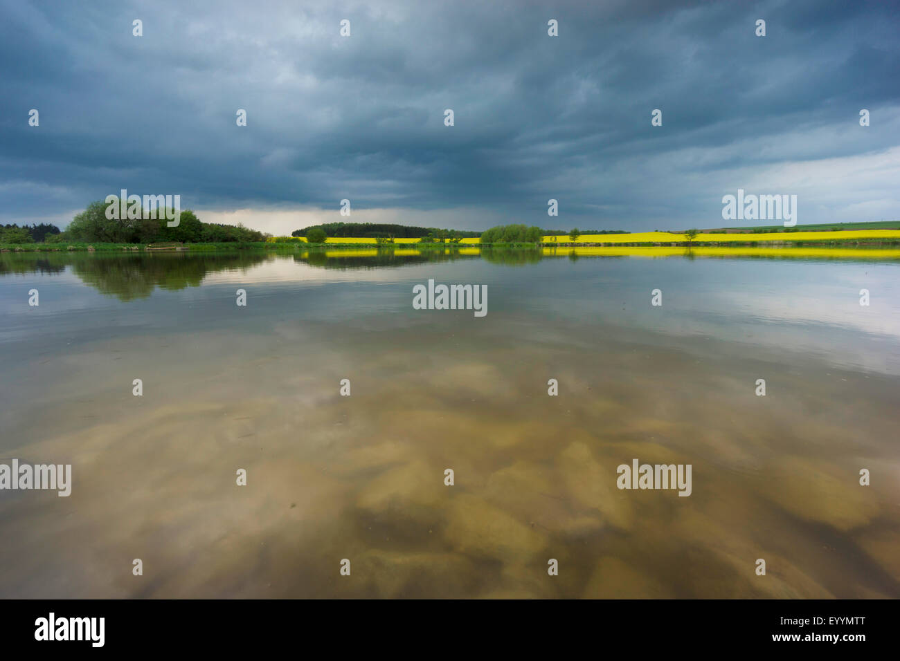 rain clouds above a lake, blooming rape field in background, Germany, Saxony, Talsperre Poehl, Jocketa Stock Photo