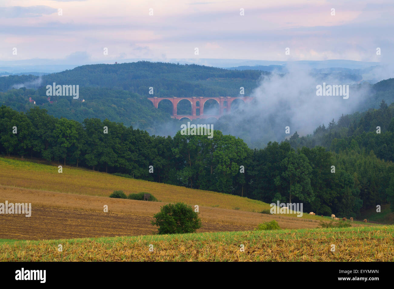 view to Elster Viaduct in evening light, Germany, Saxony, Plauen Stock Photo