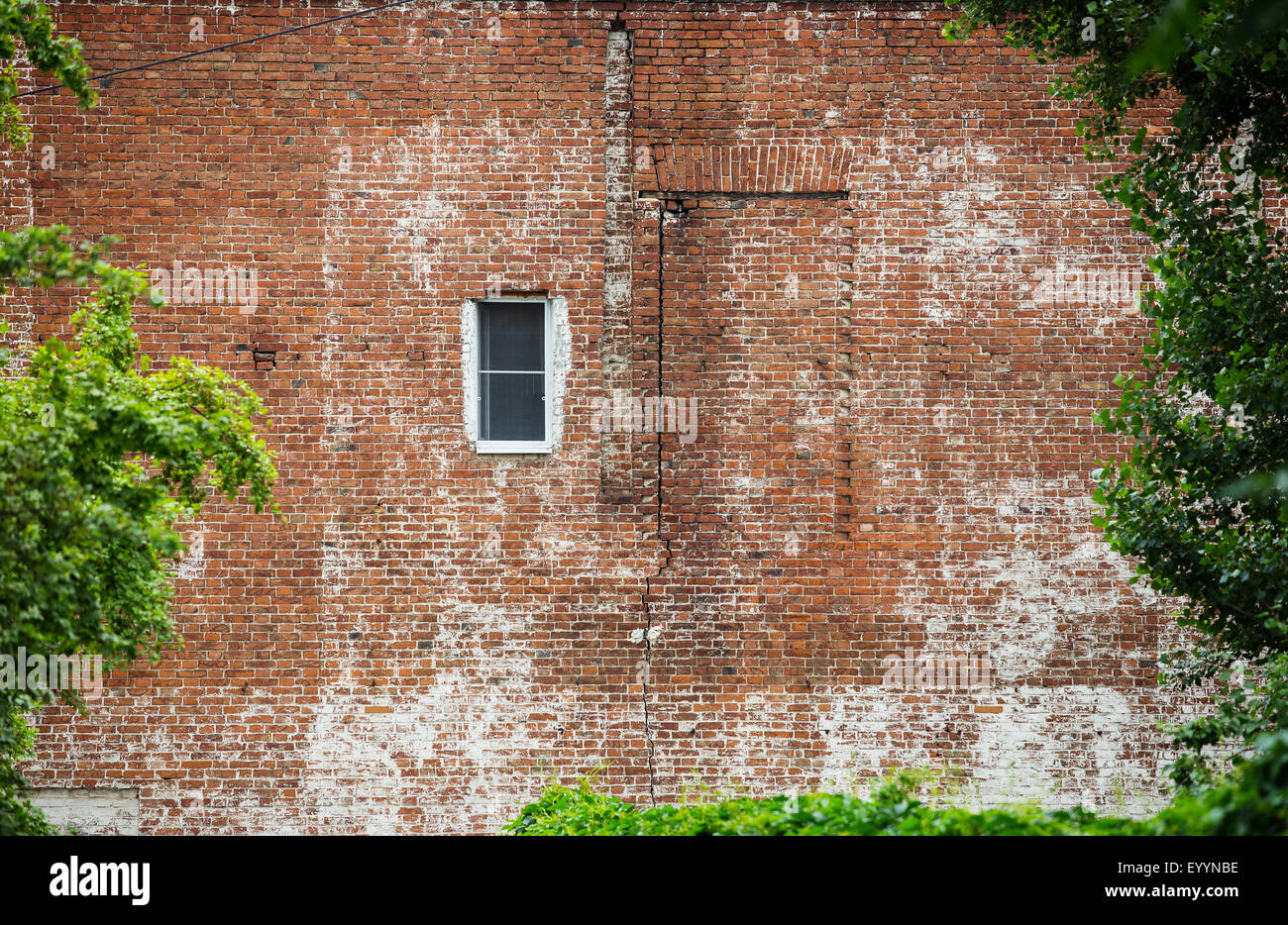 Old brick wall texture plant hi-res stock photography and images - Alamy