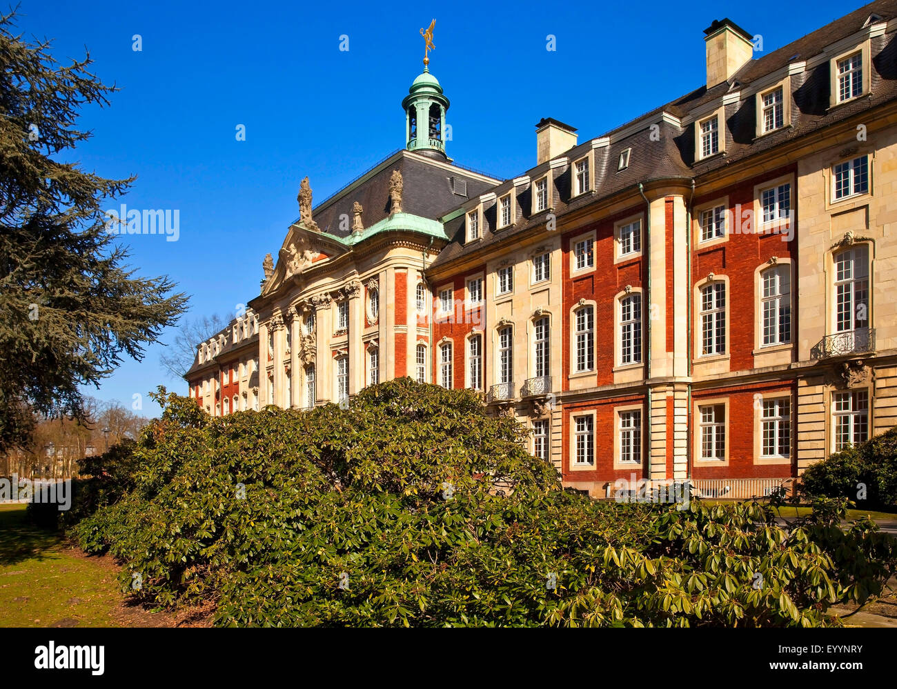 Central institute muenster germany hi-res stock photography and