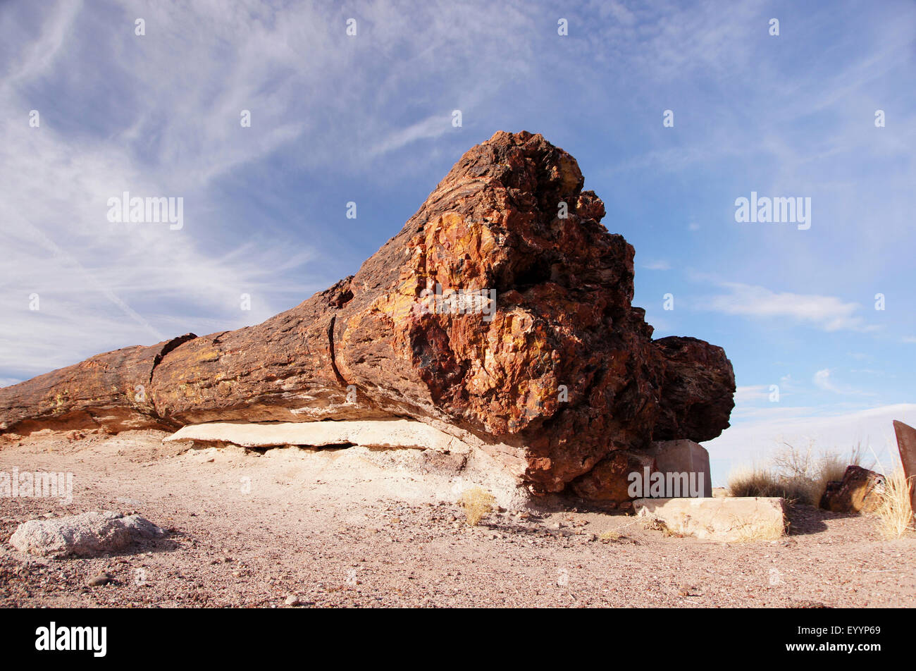 petrified log in desert, USA, Arizona, Petrified Forest National Park Stock Photo