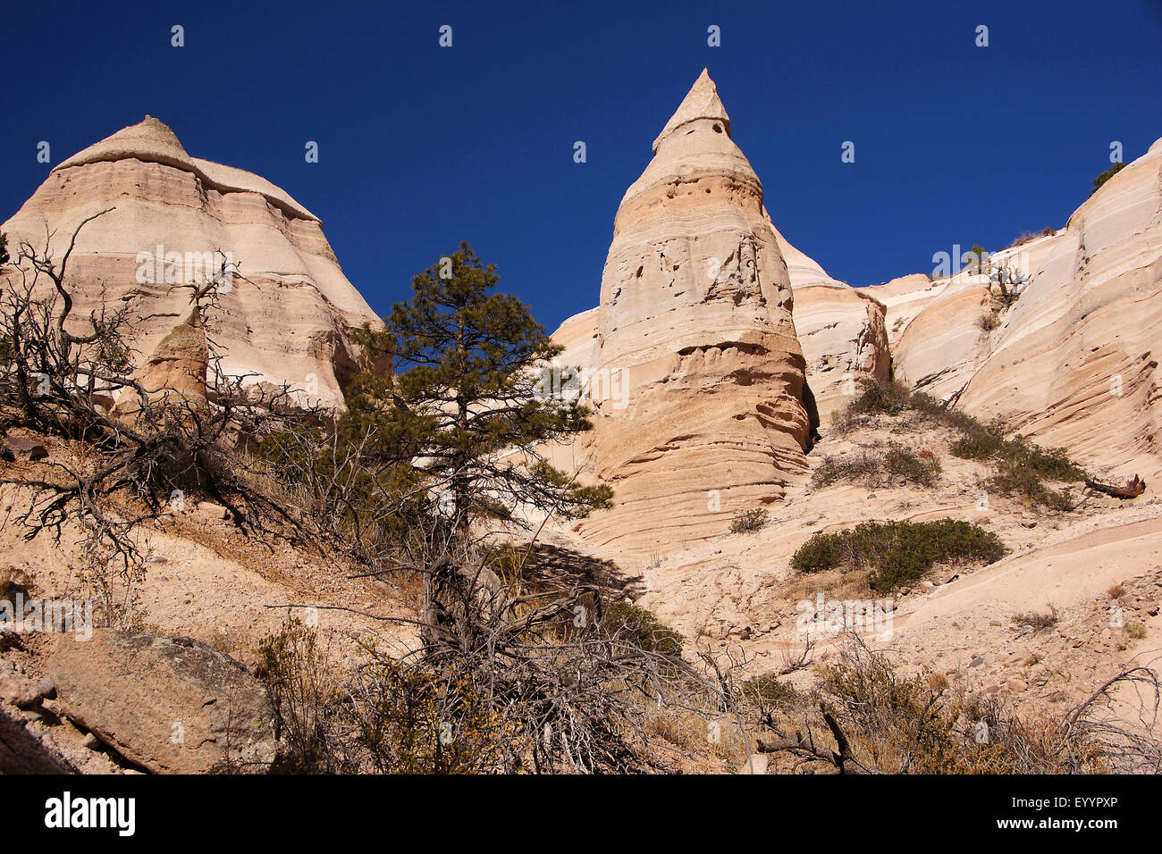 sandstone formation at the Kasha-Katuwe Tent Rocks National Monument, USA, New Mexico, Kasha-Katuwe Tent Rocks National Monument Stock Photo