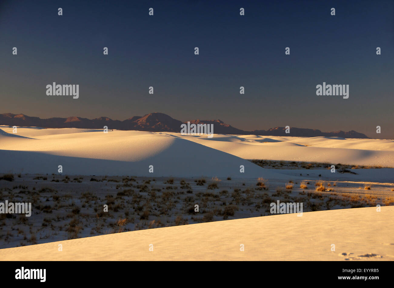 deset landscape at the White Sands National Monument, USA, New Mexico, White Sands National Monument Stock Photo