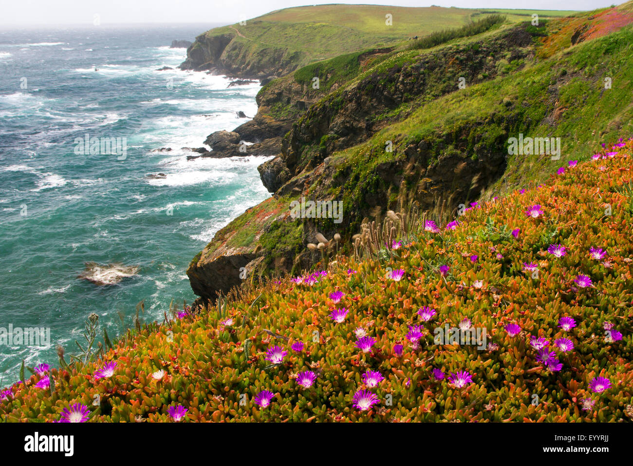 Lands End in Cornwall, United Kingdom, England, Cornwall, Lands End Stock Photo
