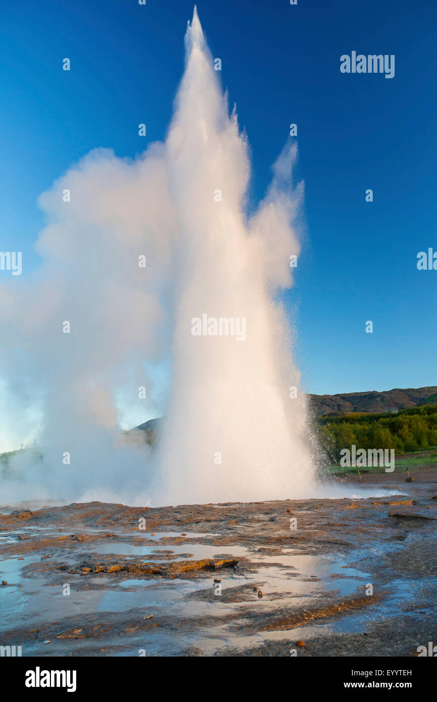 Strokkur fountain geyser, Iceland, Sudurland, Geysir Stock Photo