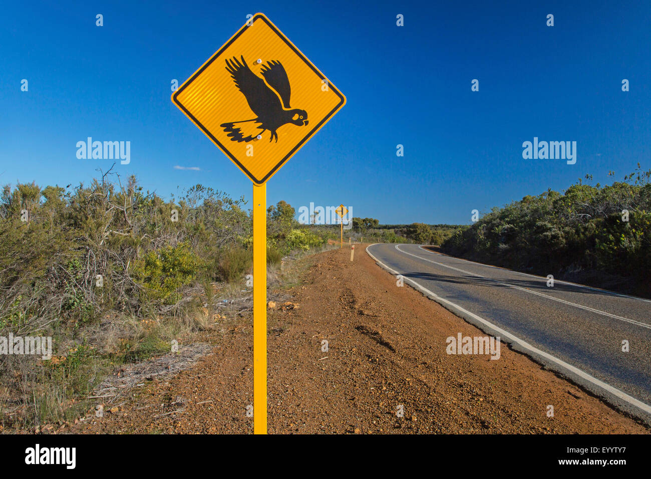 traffic sign with cockatoo, Australia, Western Australia, Albany Stock Photo