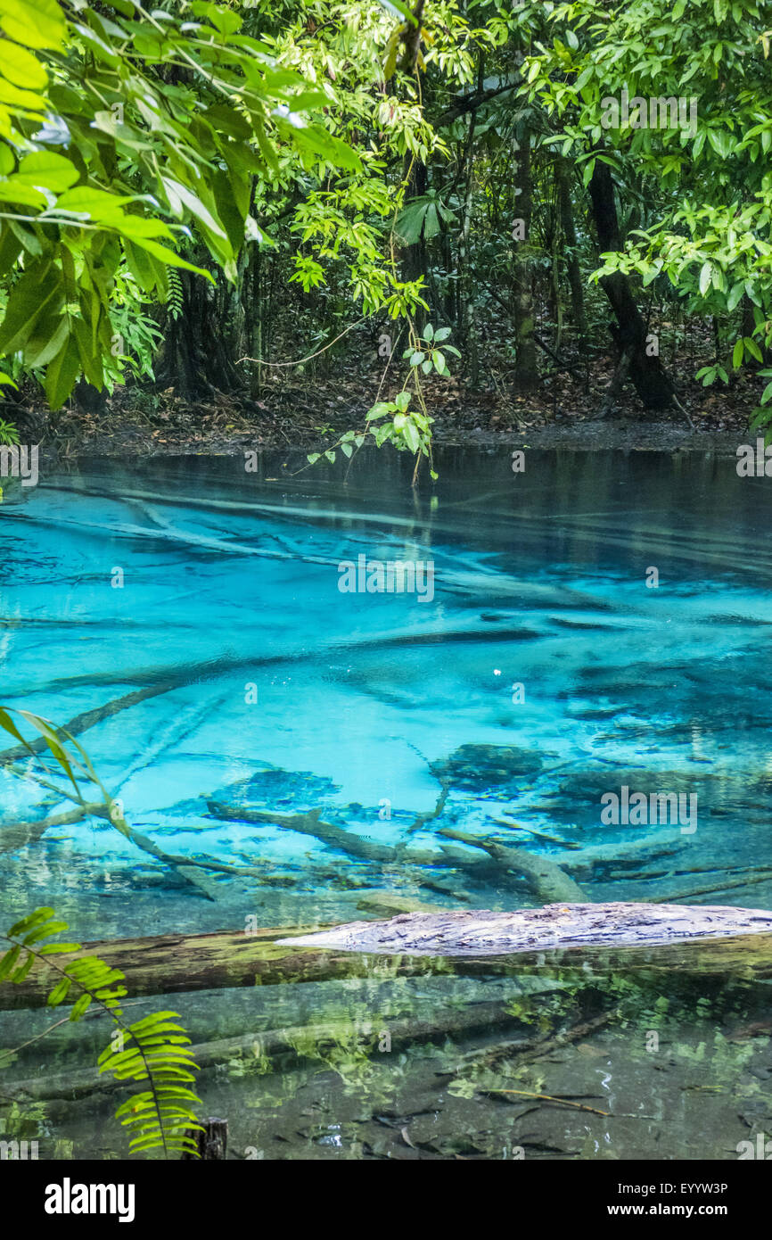 Emerald Pool of Wildlife Sanctuary Sa Morakot, Thailand, Wildlife Sanctuary Sa Morakot Stock Photo