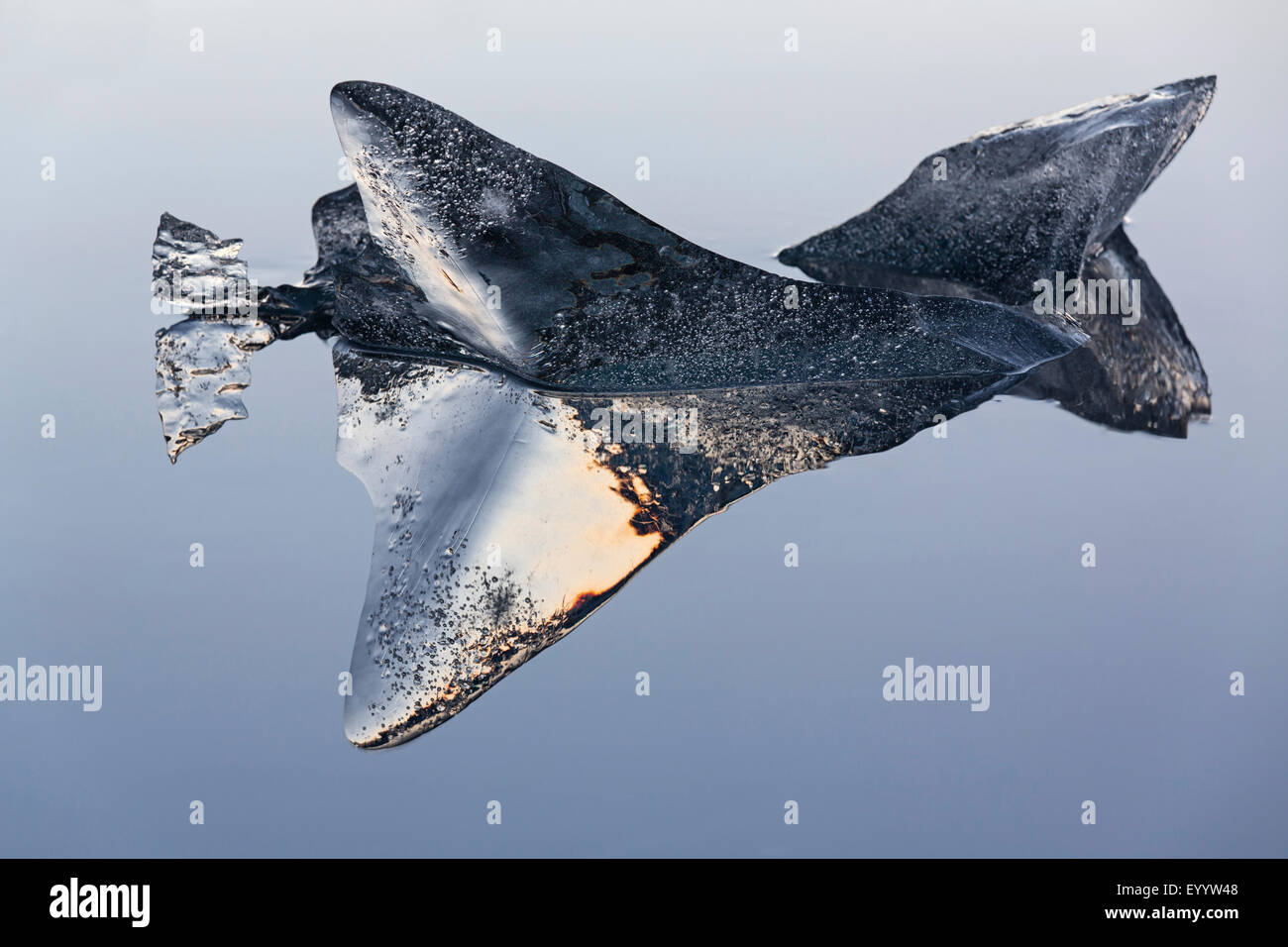 treehouse lego 21318