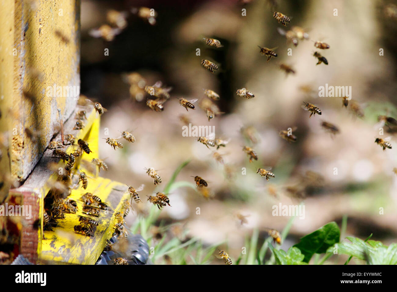 Flying Box High Resolution Stock Photography and Images - Alamy