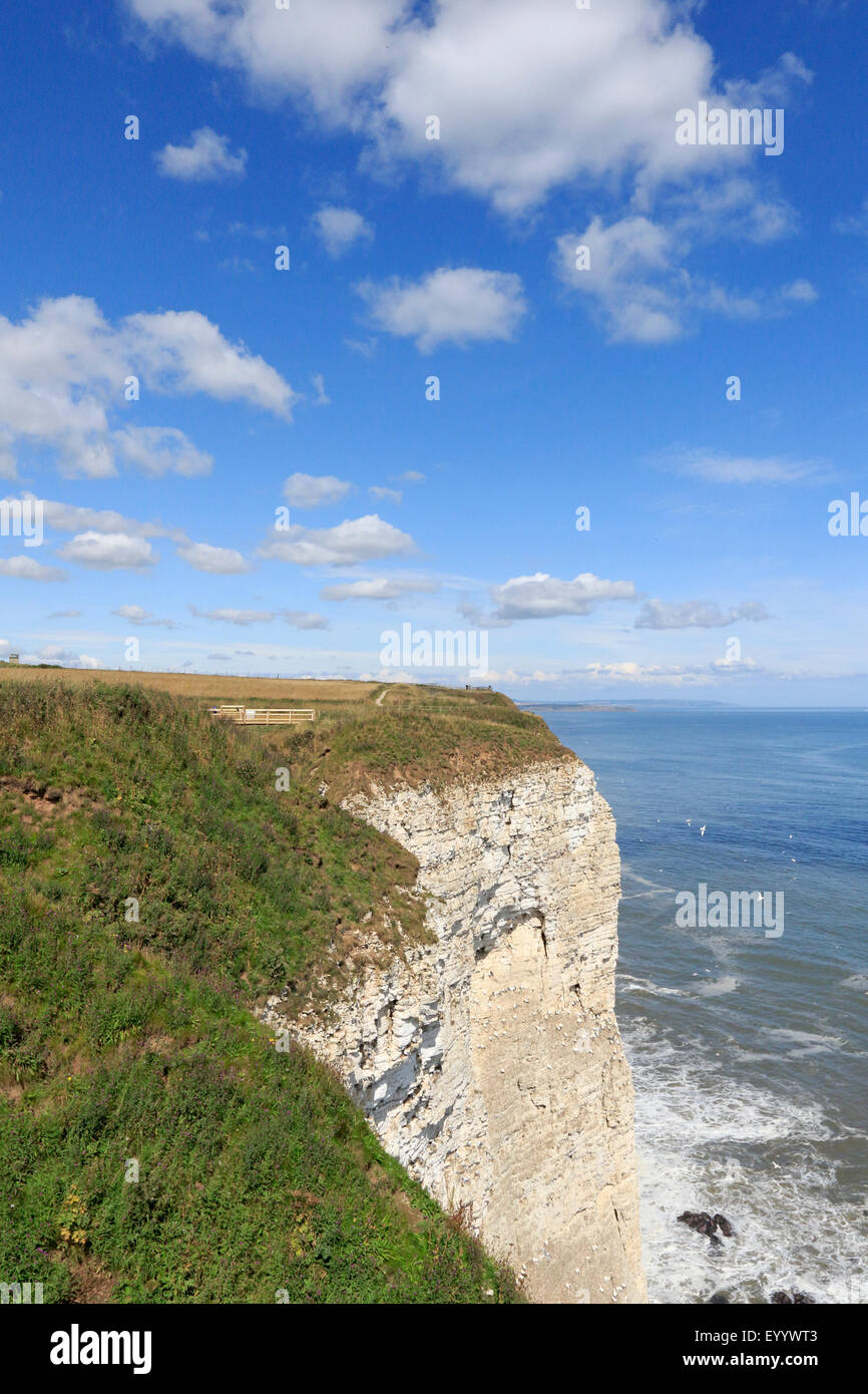 The cliffs of filey brigg hi-res stock photography and images - Alamy