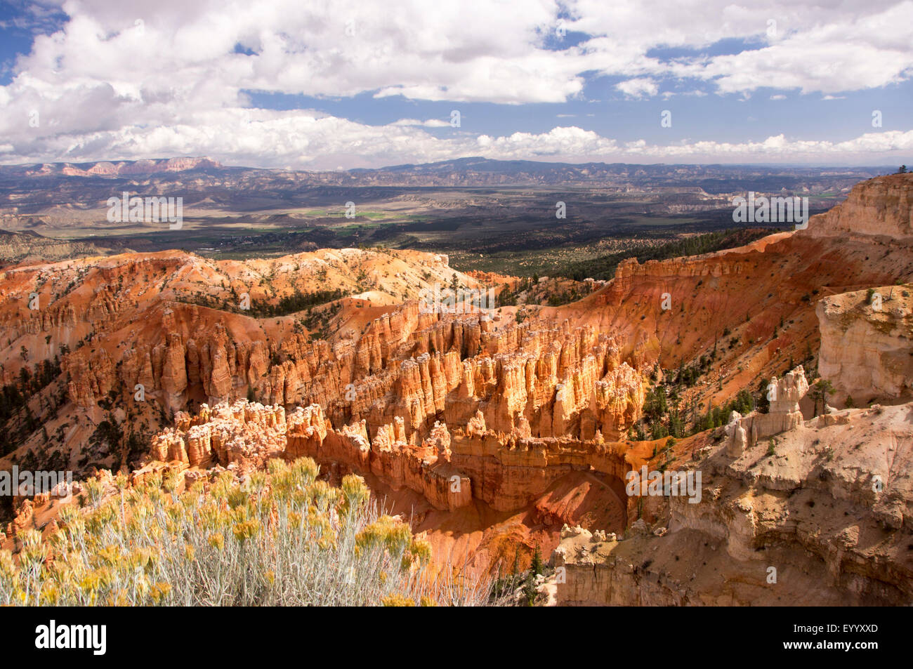 Amphitheatre of Bryce Canyon, USA, Utah, Bryce Canyon National Park Stock Photo