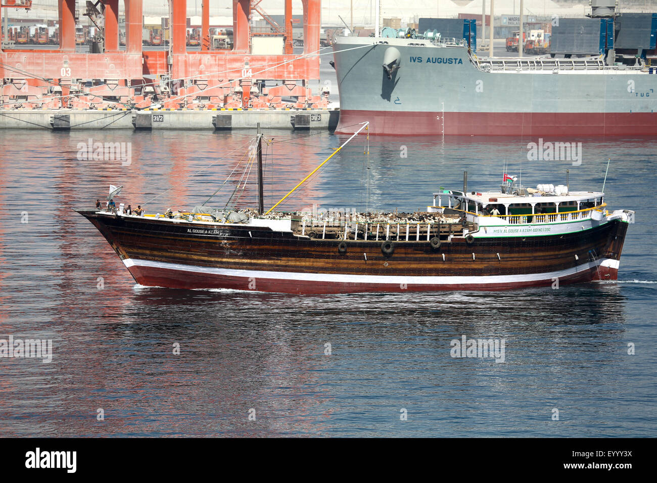 About The Arabian Sheep Stock Photos & About The Arabian 