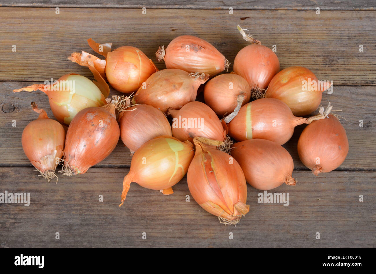 Pearl Onions Vs Shallots