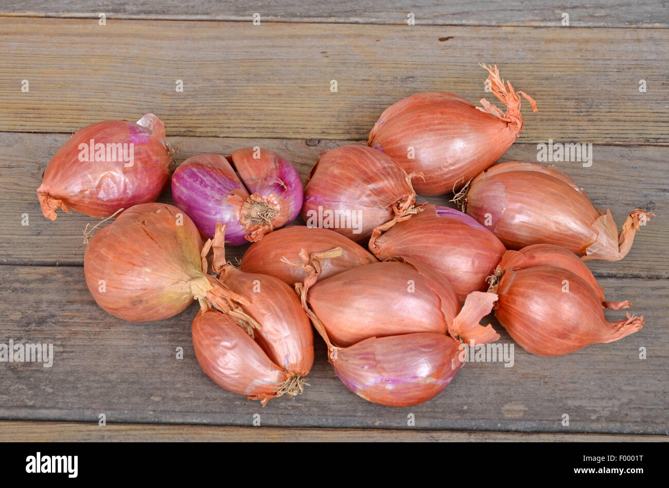 Garden onion, Bulb Onion, Common Onion (Allium cepa), fresh shallots
