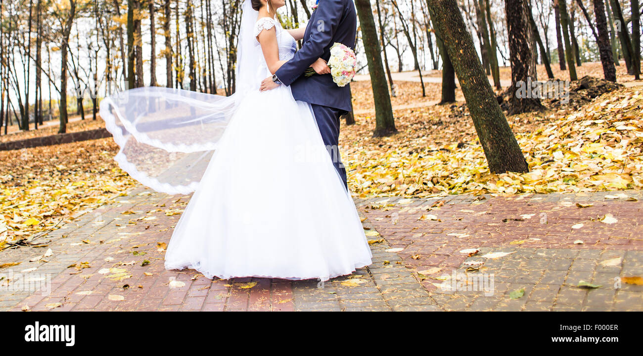 Wedding couple in park Stock Photo - Alamy