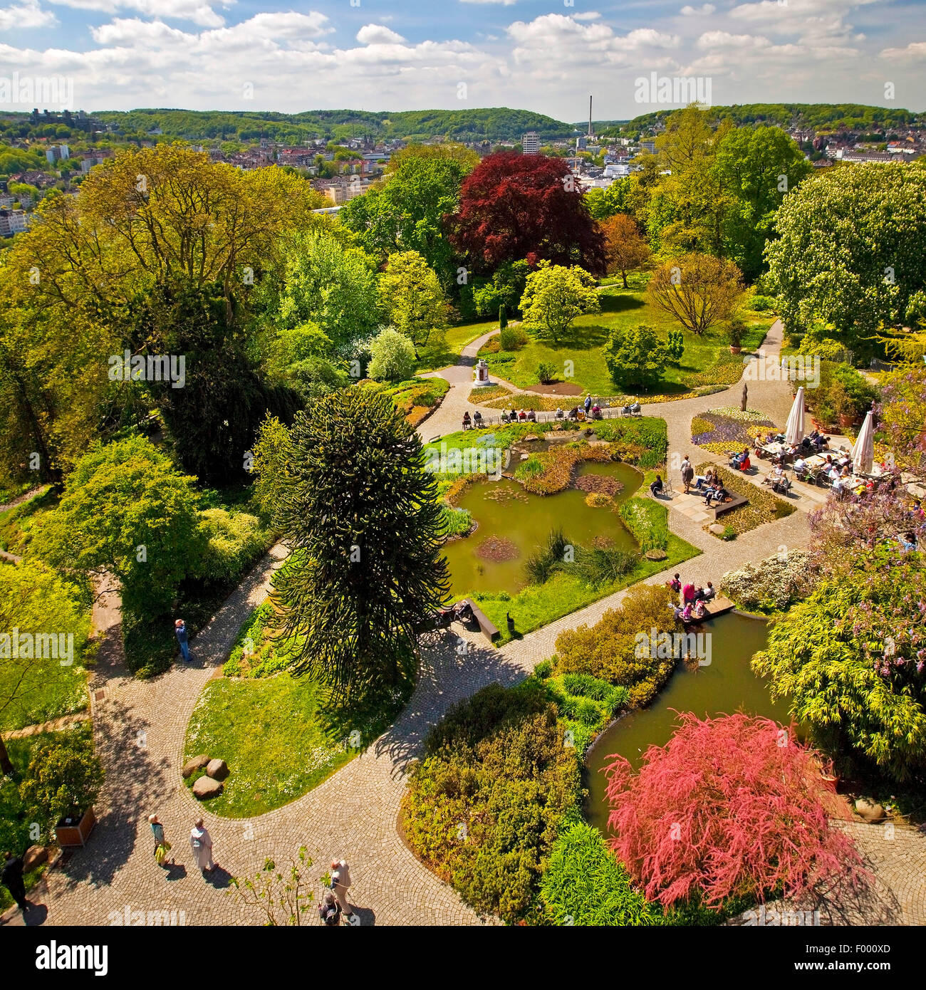 view from the Elisen Tower onto the Botanical Gardens Wuppertal in spring, Germany, North Rhine-Westphalia, Wuppertal Stock Photo