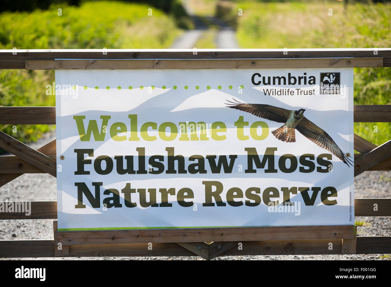 Foulshaw nature reserve, a lowland raised bog in South Cumbria, UK. Stock Photo