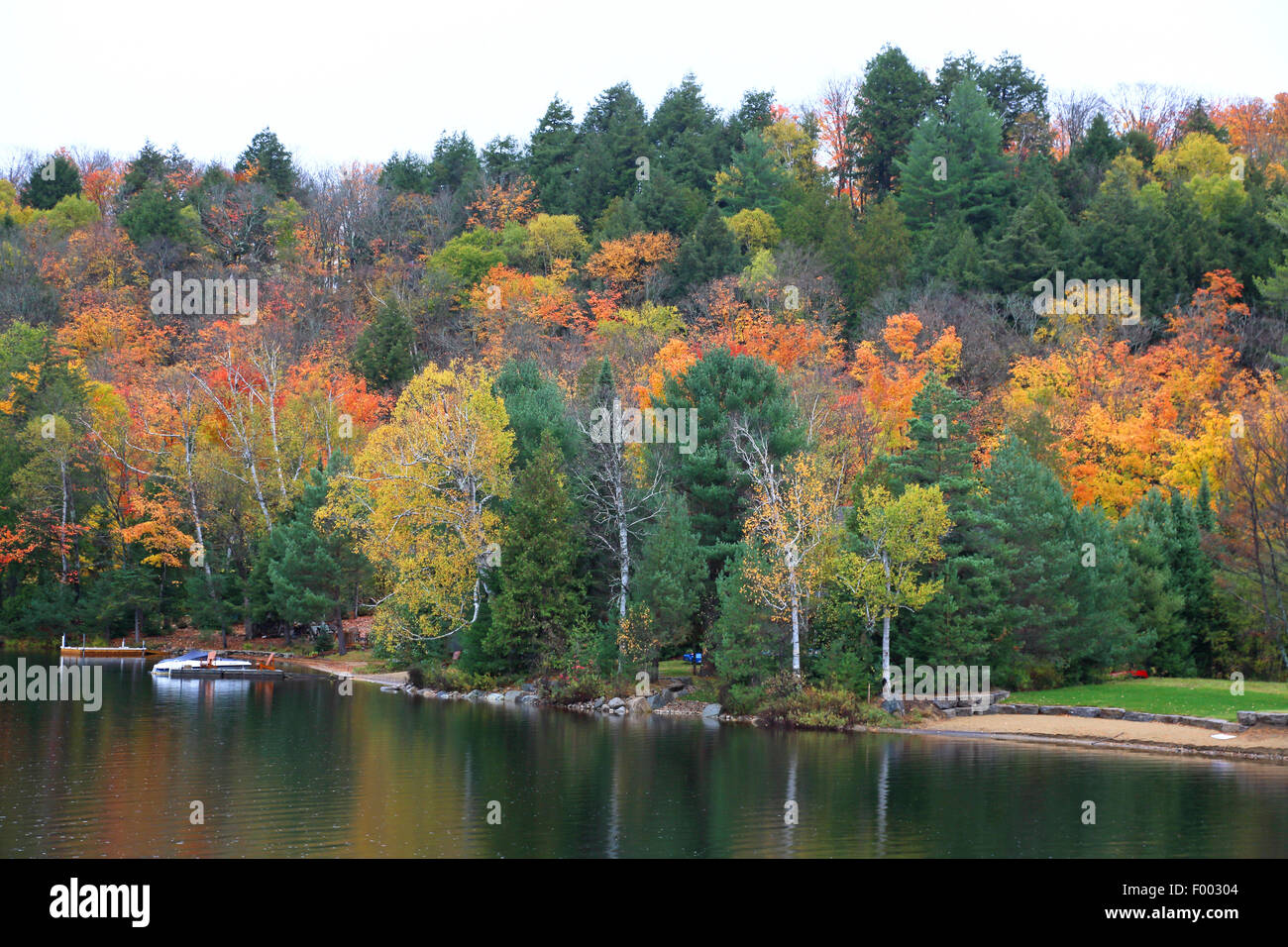 Indian Summer at the border of the Algonquin Provincial Park, Canada, Ontario, Algonquin Provincial Park Stock Photo