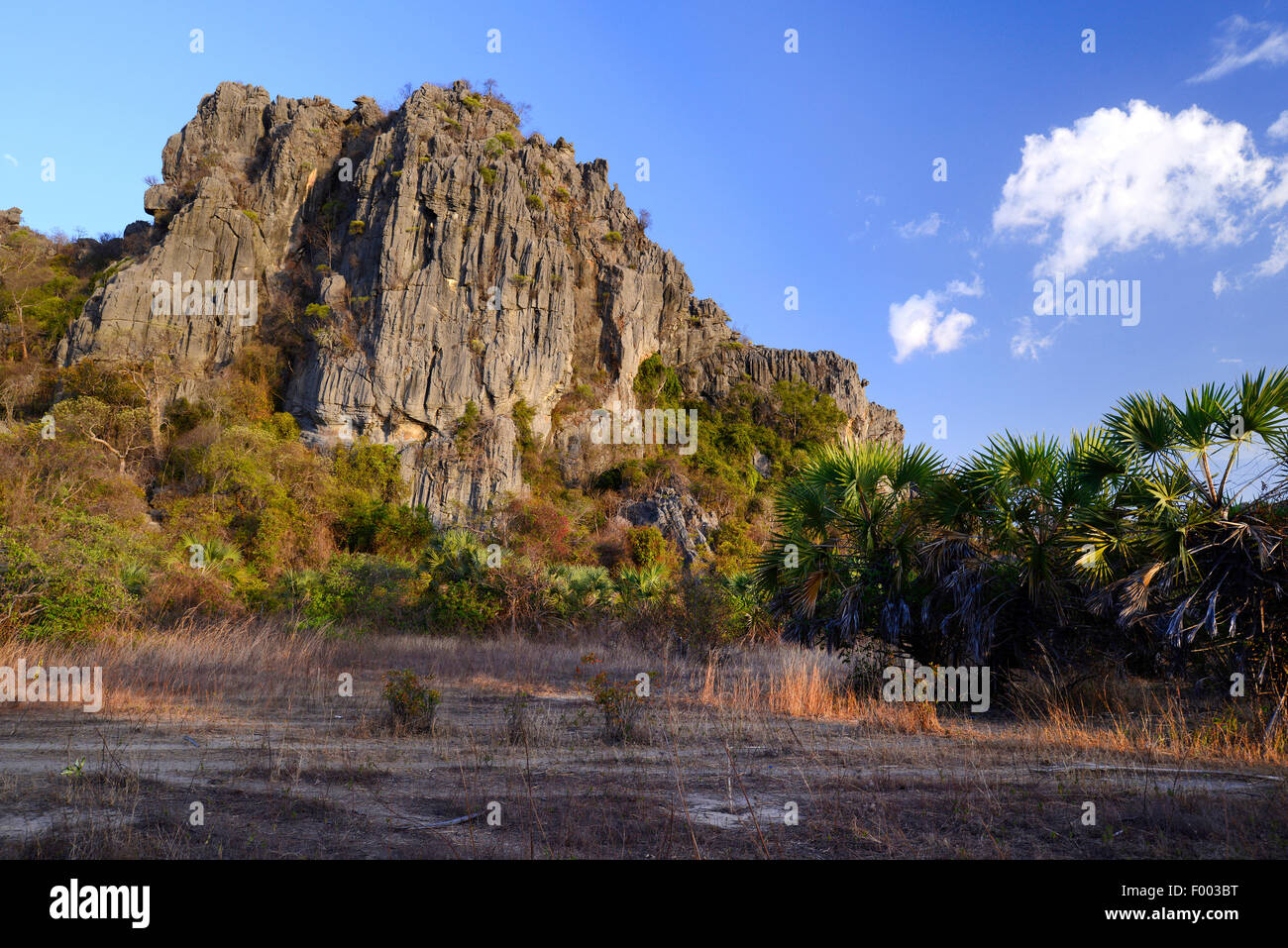 rock formation at the Ankarana National Park, Madagascar, Antsiranana, Ankarana National Park Stock Photo