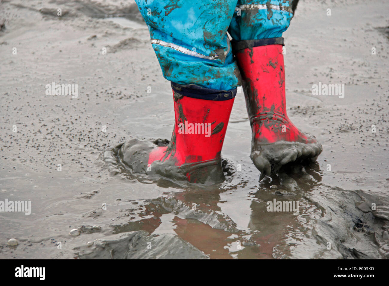child walking through the mud flat, waterproof pants and rubber boots, Germany, Lower Saxony, Cuxhaven Stock Photo
