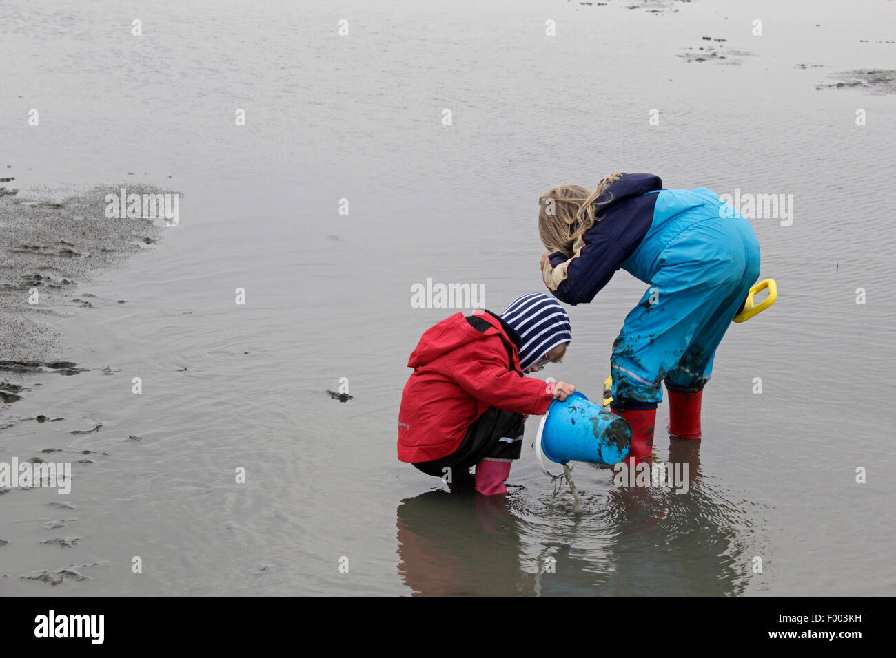 two children playing in the mud flat, waterproof pants and rubber boots, Germany, Lower Saxony, Cuxhaven Stock Photo