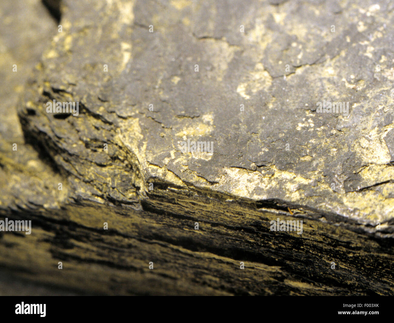 Alum shale from Cambrian Stock Photo