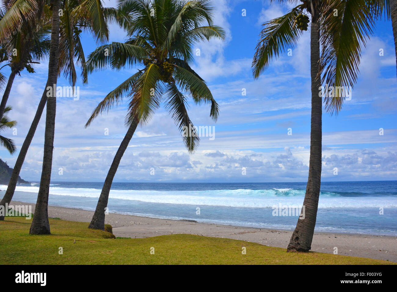 palm beach, Reunion Stock Photo