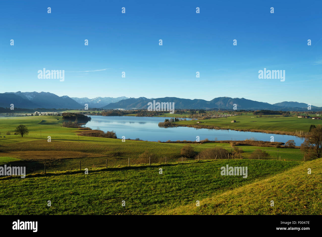 Lake Riegsee in autumn morning, Germany, Bavaria, Oberbayern, Upper Bavaria, Murnau Stock Photo