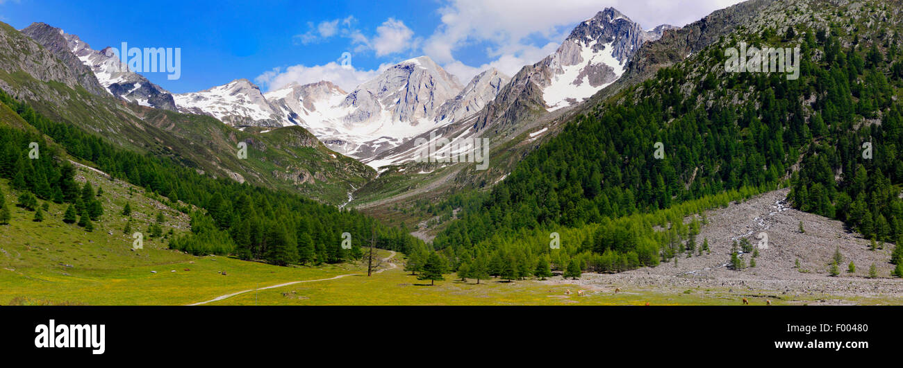 Pfossental, path to Hochwilde, Italy, South Tyrol, Schnalstal Stock Photo