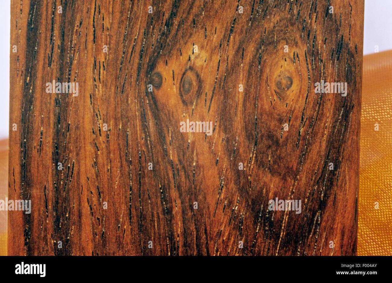 Brazilwood, Pernambuco tree, Nicaragua wood  (Caesalpinia echinata), wood Stock Photo