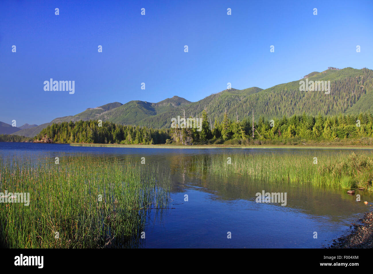 Horizontal format horizontal format landscape format hi-res stock ...