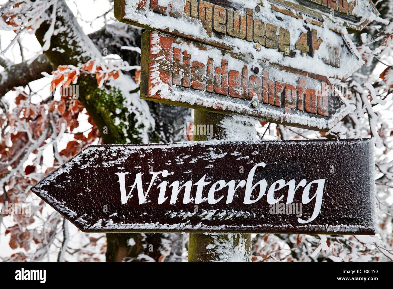 frosty direction signs on mountain Kahler Asten, Germany, North Rhine-Westphalia, Sauerland, Winterberg Stock Photo
