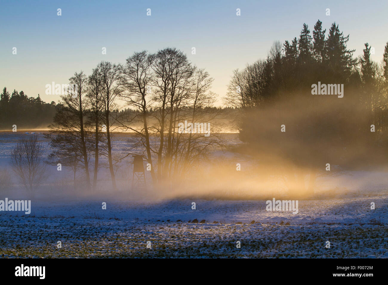 ground fog over snowy landscape in morning sun, Germany, Bavaria Stock Photo