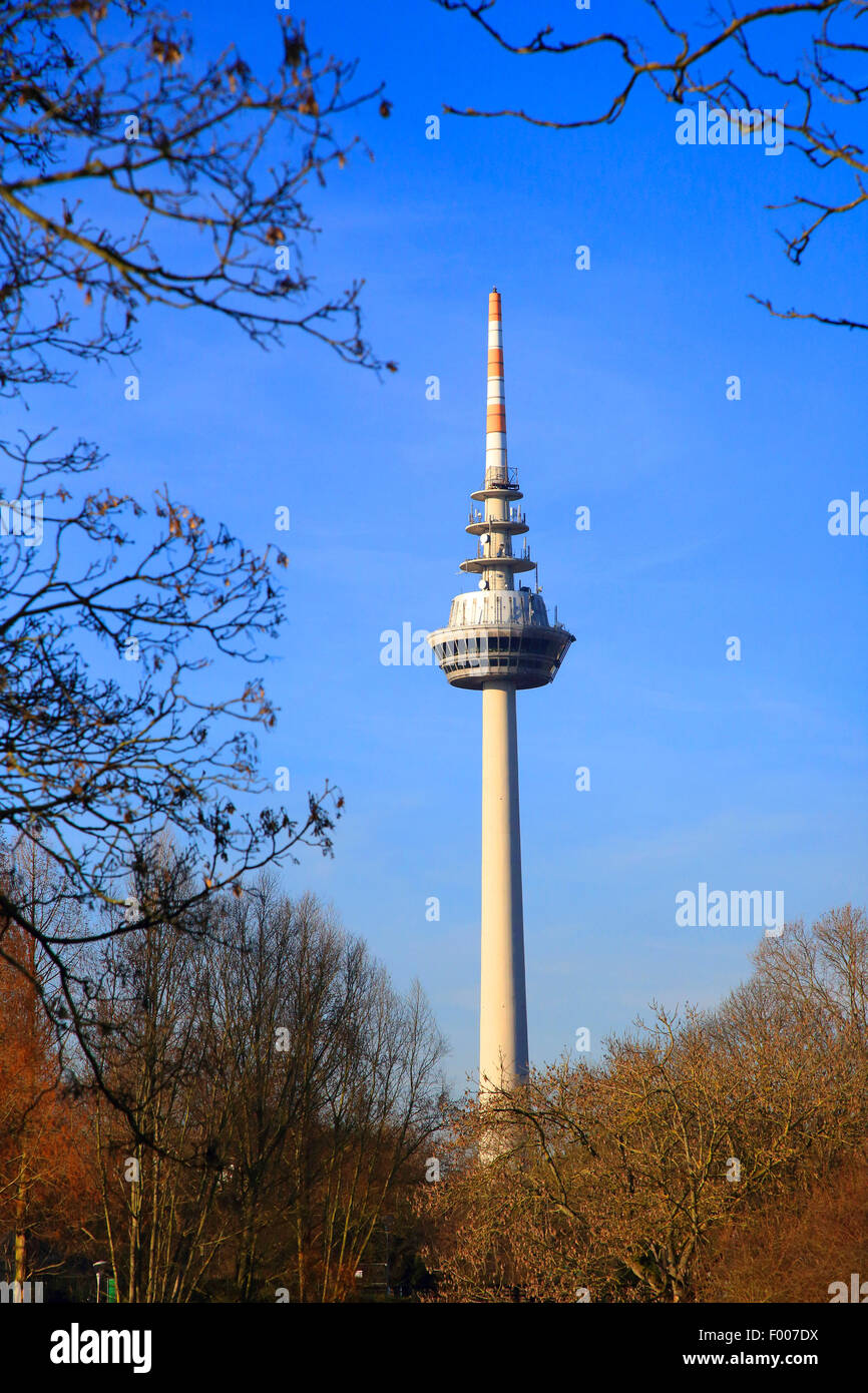 Luisenpark with , Germany, Baden-Wuerttemberg, Mannheim Stock Photo - Alamy