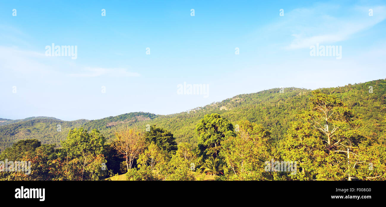 Beautiful tropic landscape hi-res stock photography and images - Alamy