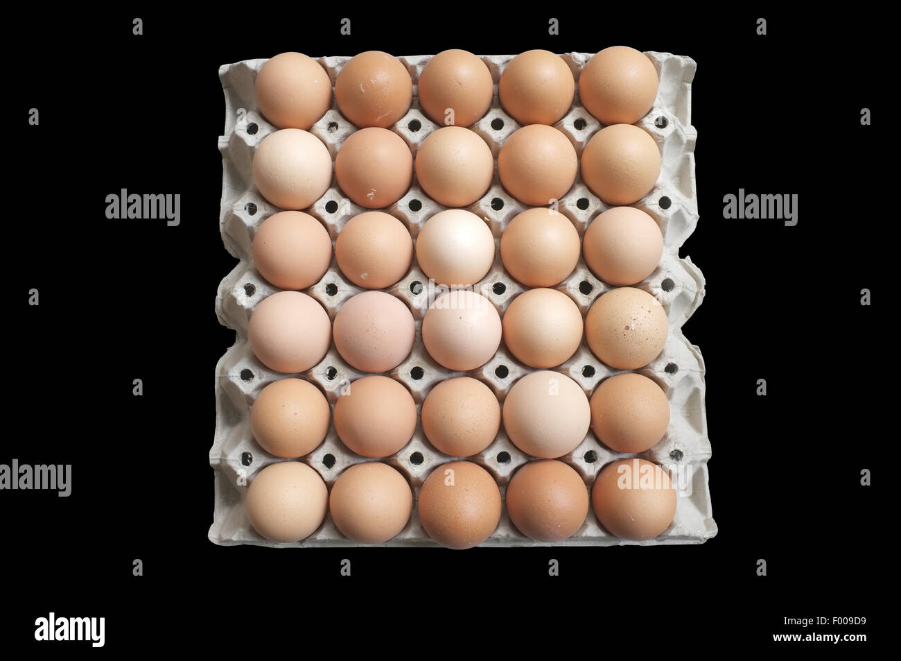 Carton of fresh brown eggs Stock Photo