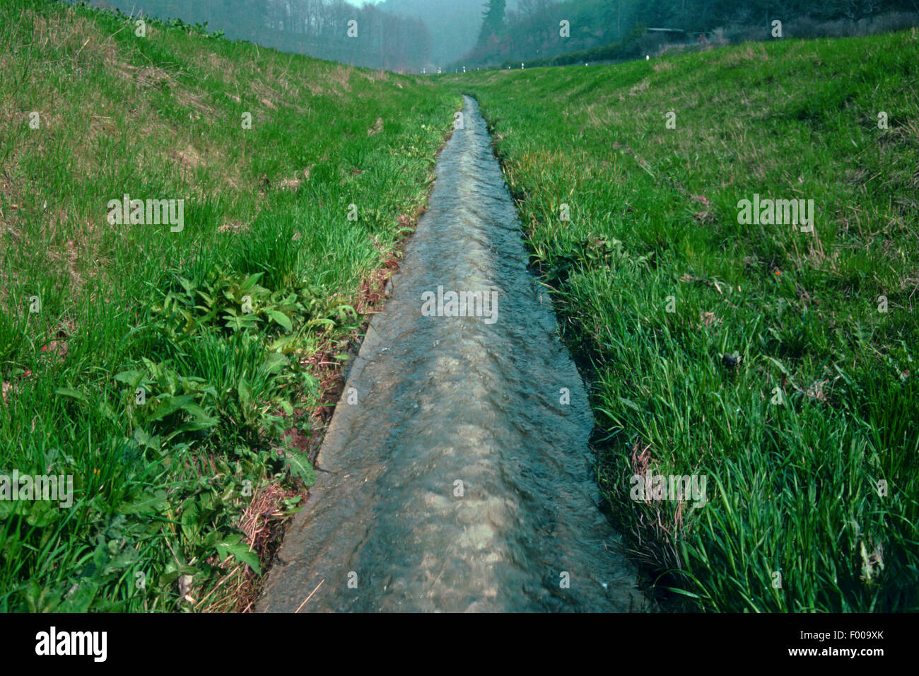 straightened river, Germany Stock Photo Alamy