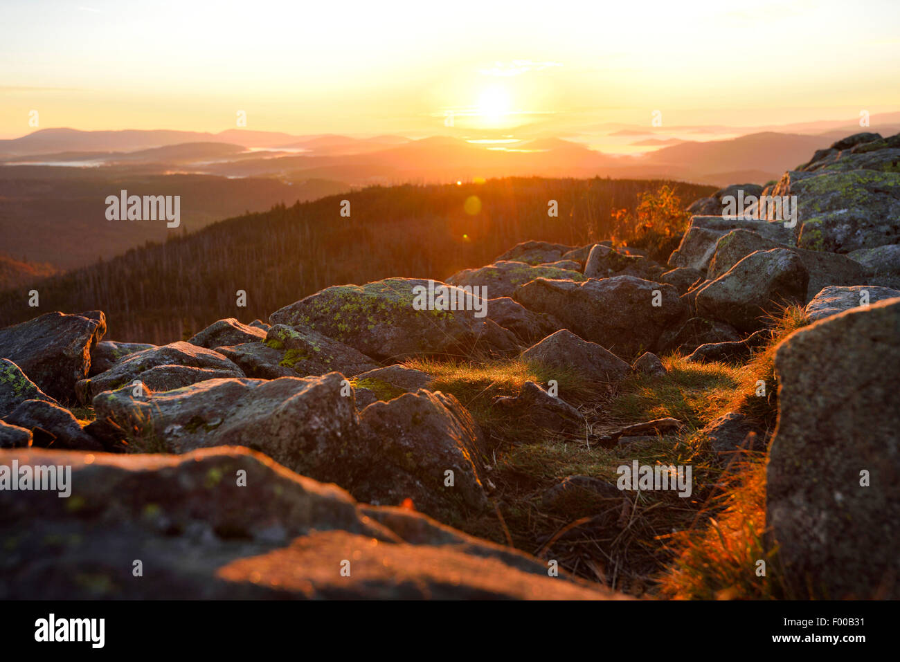 landscape of Bavarian Forest at sunrise, Germany, Bavaria, Bavarian Forest National Park Stock Photo
