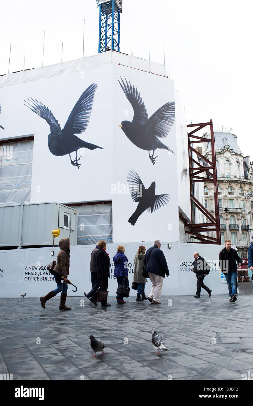Crowd walking by with advertisement billboard and construction in the background, whilst pigeons are in the foreground Stock Photo